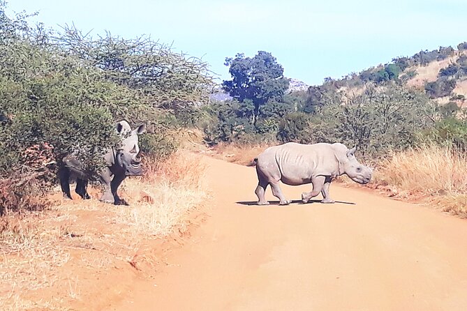 Pilanesberg Day Tour - Cancellation Policy
