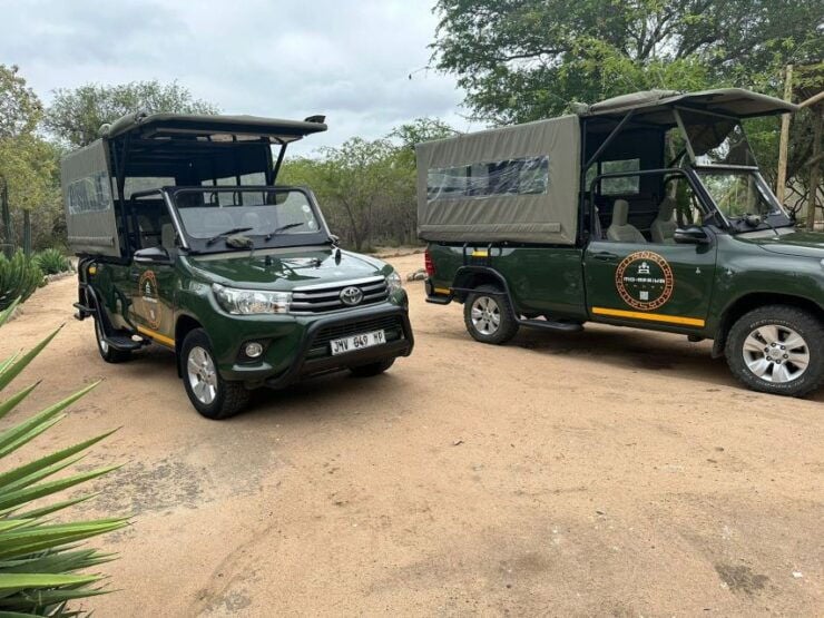 Pilanesberg Morning or Afternoon 3 Hour Game Drive - Good To Know