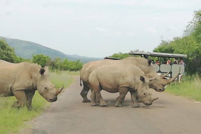 Pilanesberg National Park 3-Day Safari With Accommodation  - Johannesburg - Accommodation and Meal Inclusions