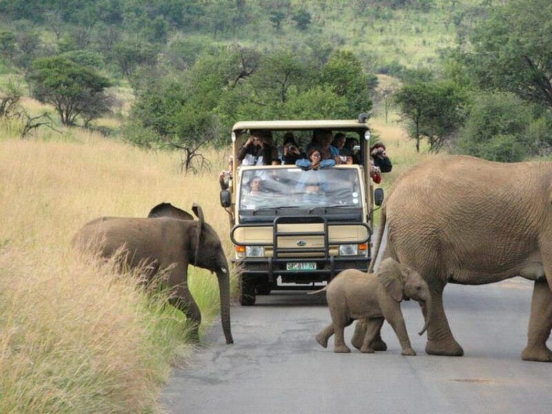 Pilanesberg National Park: 6H Game Drive with Lunch - Why This Tour Works Well