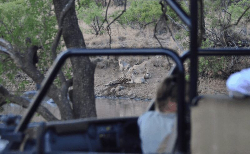 Pilanesberg National Park: 6H Game Drive with Lunch - Final Thoughts