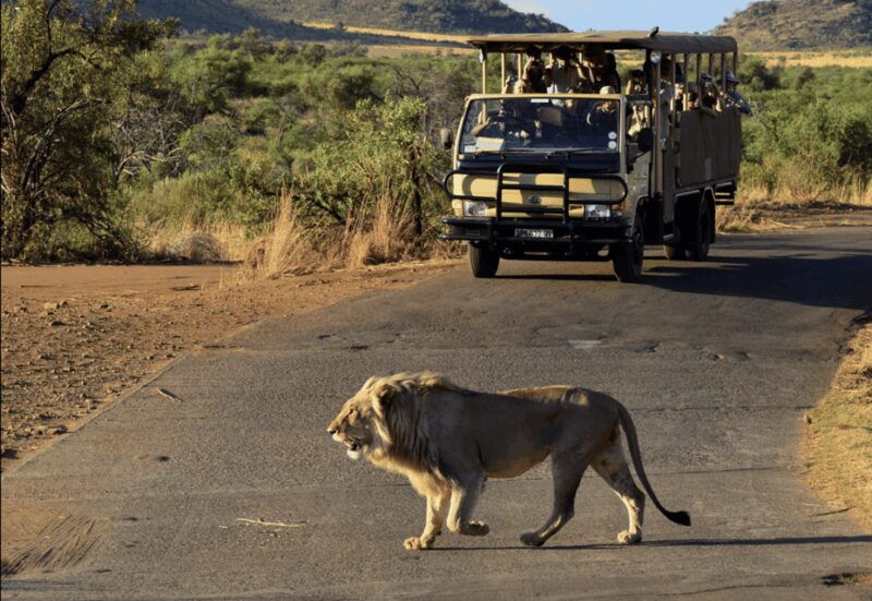 Pilanesberg National Park: 6H Game Drive with Lunch - FAQ