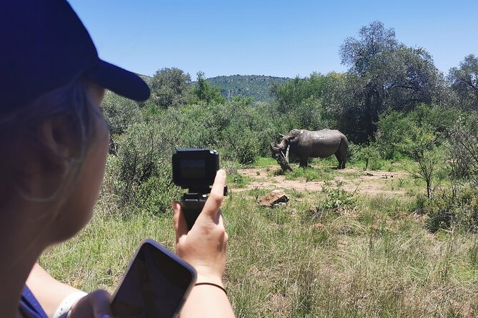 Pilanesberg National Park Safari From Johannesburg - Transportation Options and Logistics