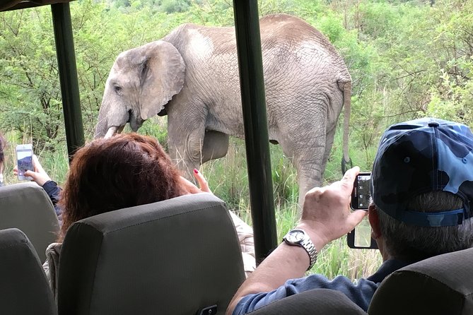 Pilanesberg National Park Safari From Johannesburg - Pickup Details and Location Requirements