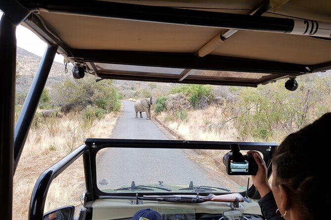 Pilanesberg National Park Safari From Johannesburg - Common Questions