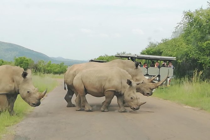 Pilanesberg Nature Reserve & Lion & Rhino Park Private - Booking Process