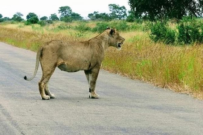 Pilanesberg Open Safari Vehicle Experience - Cancellation Policy