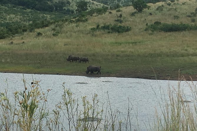 Pilanesberg Safari Day Tour - Tour Itinerary
