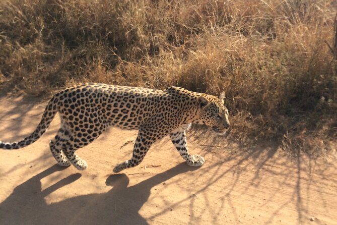 Pilanesberg Safari Tour From Johannesburg. - Rescheduling Policy