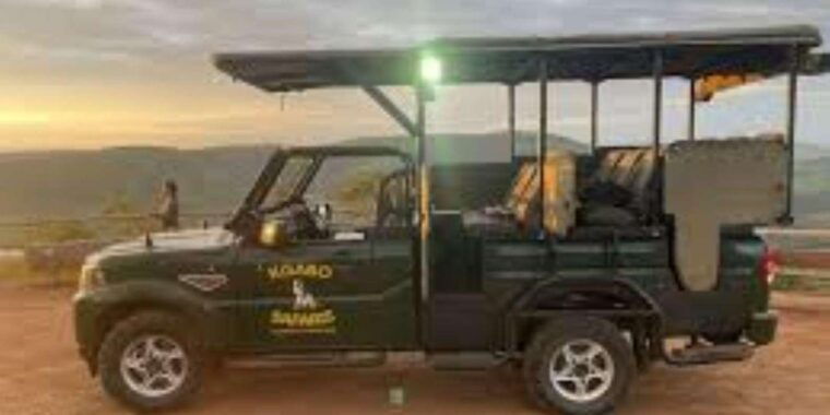 Pilanesberg : Sunrise Morning Game Drive - Final Thoughts: Is It Worth It?