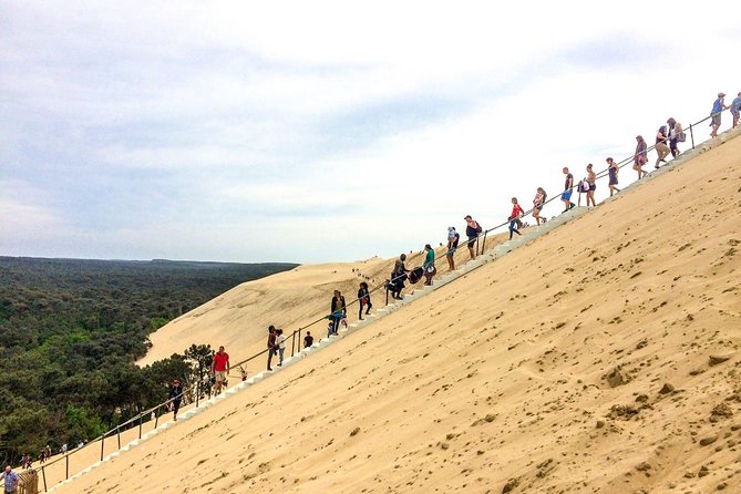 Pilat Sand Dune and Arcachon Oyster Tasting Tour From Bordeaux - Traveler Reviews