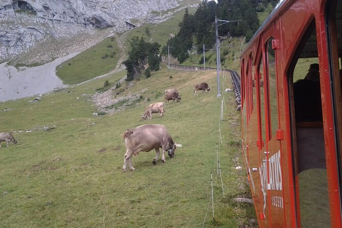 Pilatus Golden Roundtrip: Exclusive Small Group Tour From Luzern - Scenic Views and Experiences