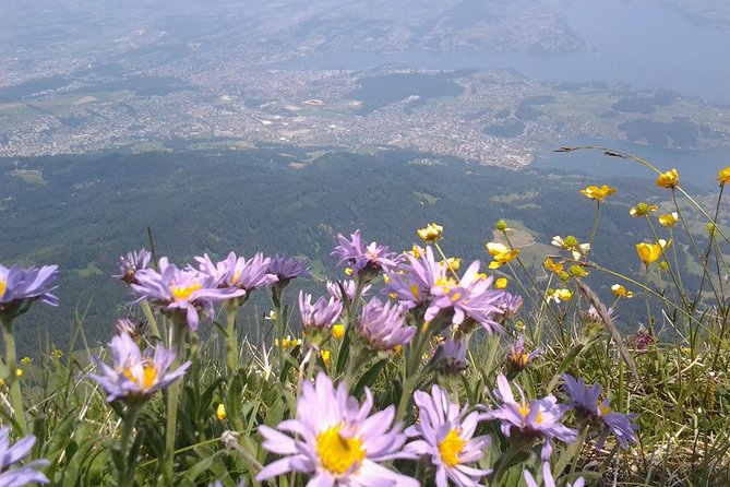 Pilatus Panorama: Exclusive Private Golden Round Trip From Luzern - Worlds Steepest Cogwheel Railway to Mt Pilatus Summit