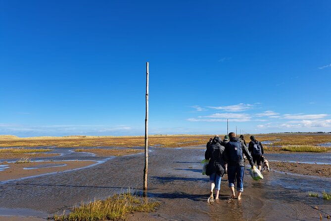 Pilgrims Path Walk Across the Sands to Holy Island - Traveler Experience
