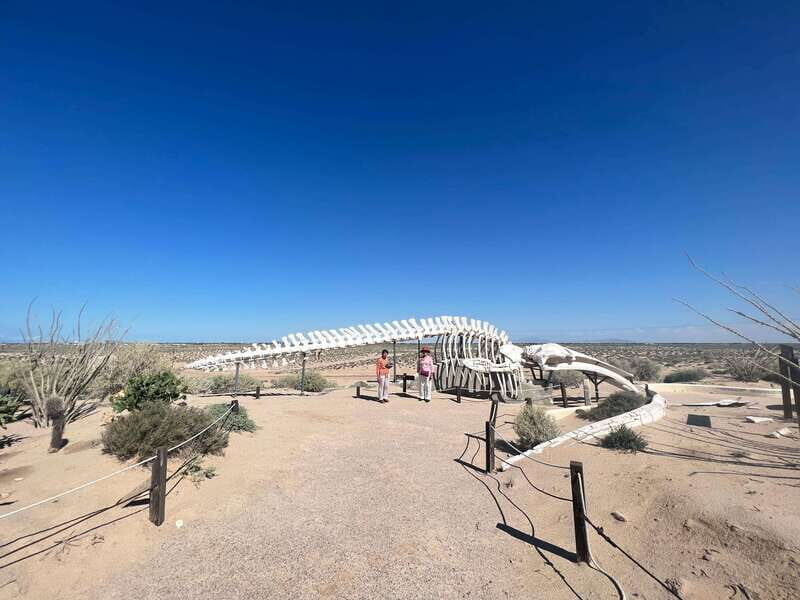 Pinacate: 3-day tour to the craters and surrounding towns - Transportation, Group Size, and Practical Details