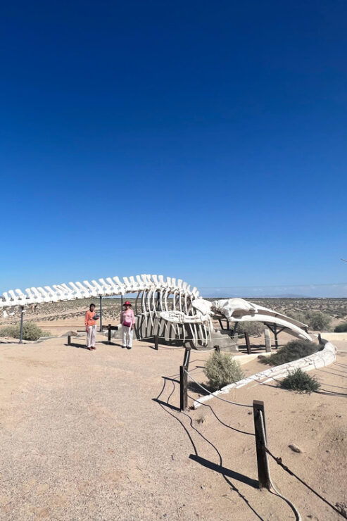 Pinacate: 3-Day Tour to the Craters and Surrounding Towns - Group Size and Language