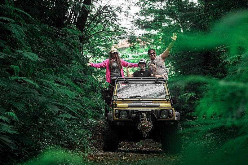 Pine Forest Mount Batur Sunrise Jeep With Photographer - Add-ons can turn a short outing into a full morning