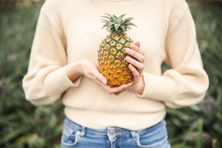 Pineapple Greenhouse Hot Tube and Pineapple Tour - Activity Details