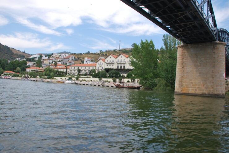 Pinecone: Rabelo Boat 1-Hour Guided Tour - Booking Details