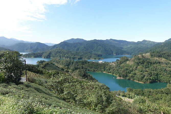 Pinglin Tea Culture & Elephant Mountain Day Tour From Taipei - Itinerary for the Day