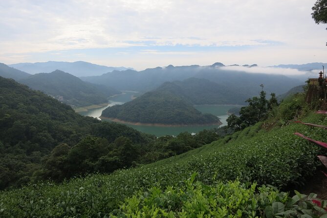 Pinglin Tea Culture & Elephant Mountain Day Tour From Taipei - Exploring the Pinglin Tea Culture