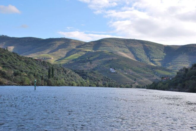 Pinhão: 2-Hour Rabelo Boat Tour With Audio Guide - Customer Reviews