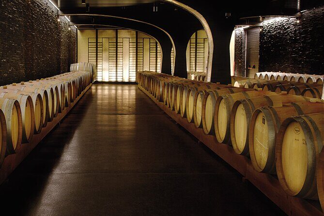 Pinhão Boat, lunch&wine tour - Good To Know