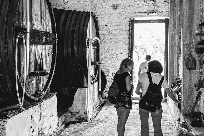 Pinhão Boat, lunch&wine tour - Who Is This Tour Best For?