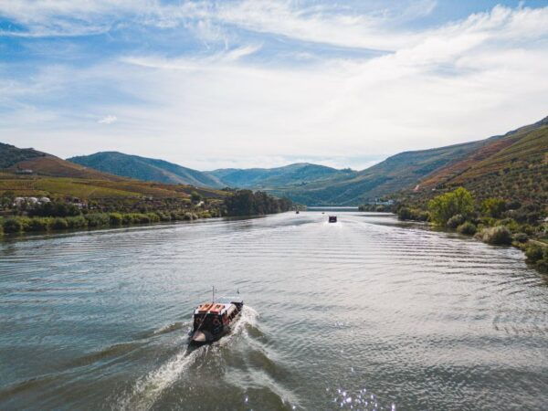 Pinhão, Douro Valley: 1-Hour Rabelo Boat Tour W/ Audio Guide - The Sum Up