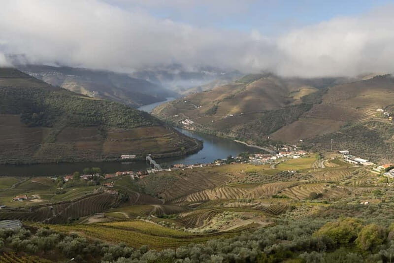 Pinhão: Douro Valley Guided Hike - What to Expect on Your Douro Valley Hike