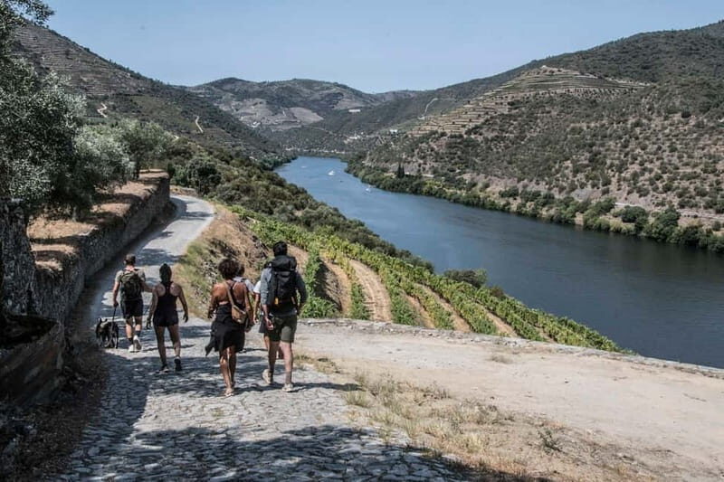 Pinhão: Douro Valley Guided Hike - What’s Included & What to Consider