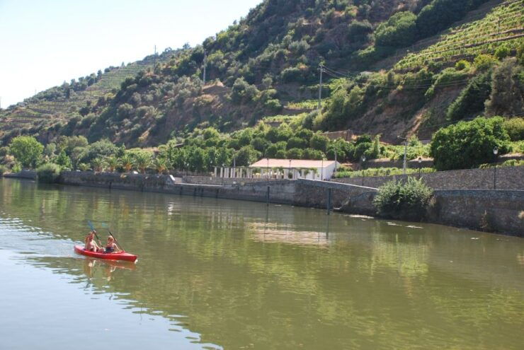 Pinhão: Douro Valley Rabelo Boat Tour and Kayak Experience - Experience Highlights