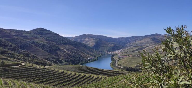 Pinhão: Douro Valley With Wine Tasting, Boat Trip and Lunch - Good To Know