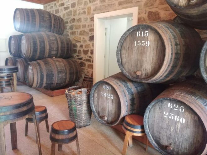 Pinhão: Douro Valley With Wine Tasting, Boat Trip and Lunch - Tour Experience
