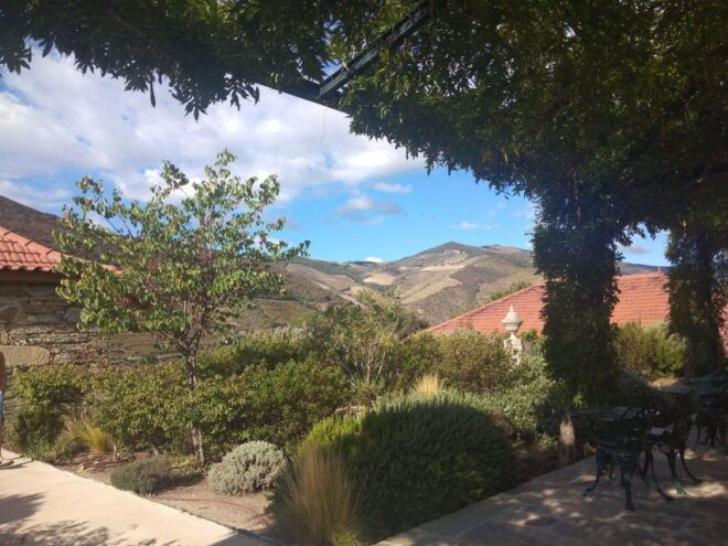 Pinhão: Douro Valley With Wine Tasting, Boat Trip and Lunch - Customer Review