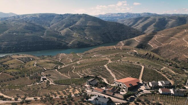 Pinhão: Quinta Da Formigosa Vineyard Tour and Wine Tasting - Inclusions and Amenities