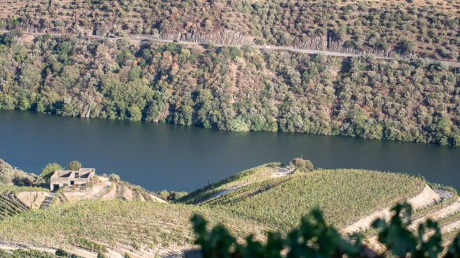 Pinhão: Quinta Da Formigosa Vineyard Tour and Wine Tasting - Directions to the Vineyard