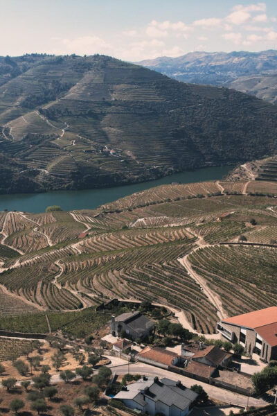 Pinhão: Quinta Da Formigosa Vineyard Tour and Wine Tasting - Customer Reviews and Feedback