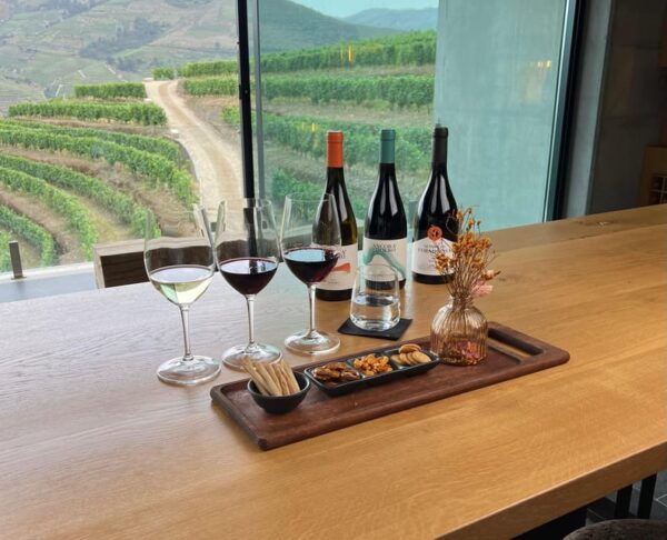 Pinhão: Quinta Da Formigosa Vineyard Tour and Wine Tasting - Tips for Your Visit