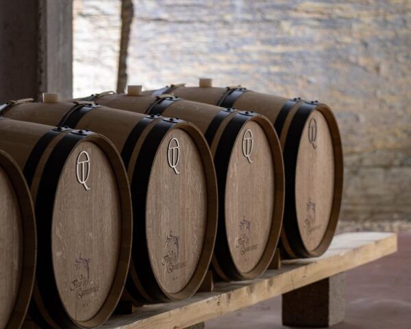 Pinhão: Quinta Da Formigosa Vineyard Tour and Wine Tasting - Frequently Asked Questions