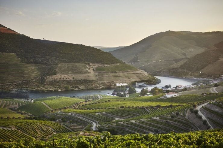 Pinhão: Quinta Do Bomfim Visit and Tasting - Activity Details
