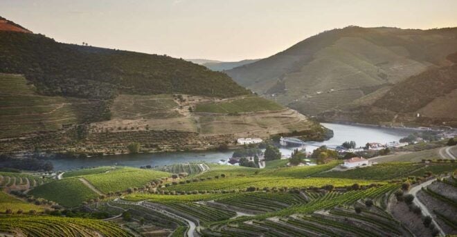 Pinhão: Quinta Do Bomfim Visit and Tasting - Highlights