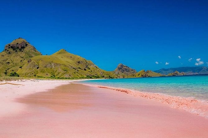 Pink Beach Lombok Snorkeling Tour - Tour Highlights