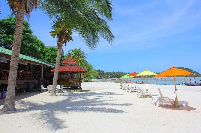 Pink Dolphin & Pig Island with Snorkeling Full Day Experience - Final Thoughts: Is This Tour Worth It?