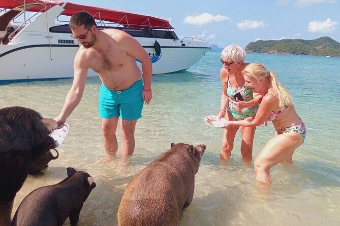 Pink Dolphin & Pig Island with Snorkeling Full Day Experience - The Practicalities