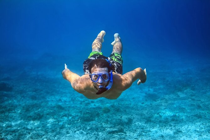 Pink Dolphin Spotting & Snorkelling Day Tour - Pickup and Transfer Information