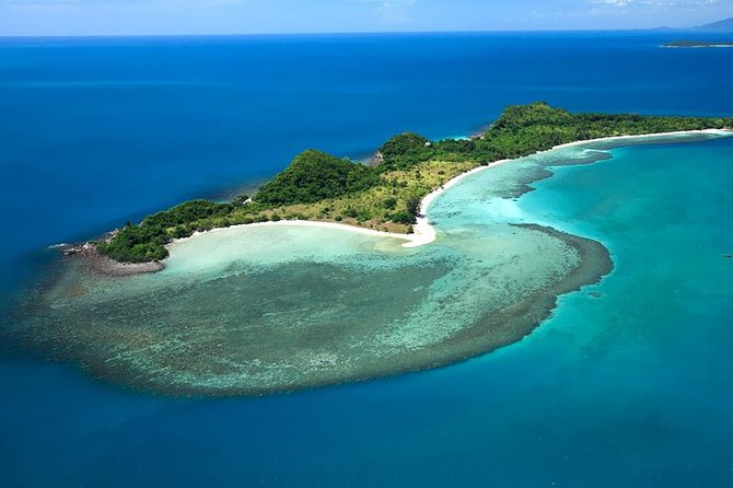 Pink Dolphin Spotting & Snorkelling Day Tour - The Sum Up