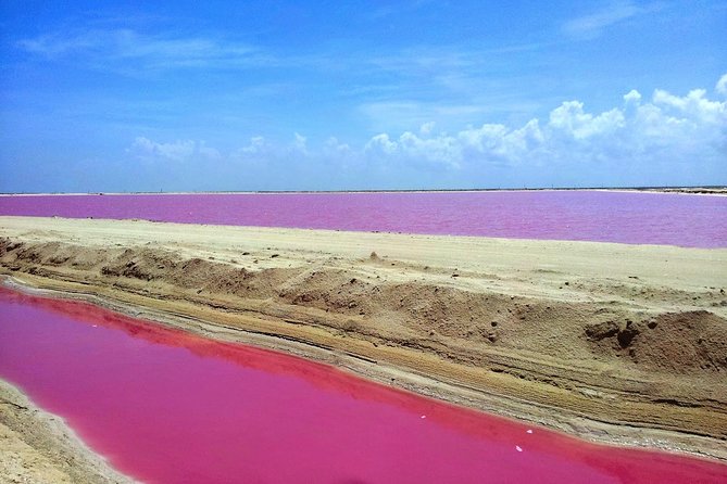 Pink Lagoon & Rio Lagartos Reserve From Playa Del Carmen - Temozon: Starting Point for Adventure