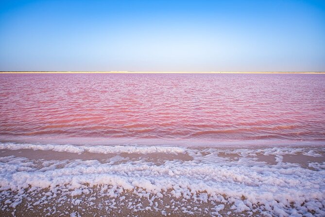 Pink Lagoon & Rio Lagartos Reserve From Playa Del Carmen - Pickup Details and Refund Policy