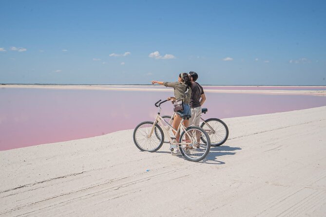 Pink Lagoon & Rio Lagartos Reserve From Playa Del Carmen - Common Questions